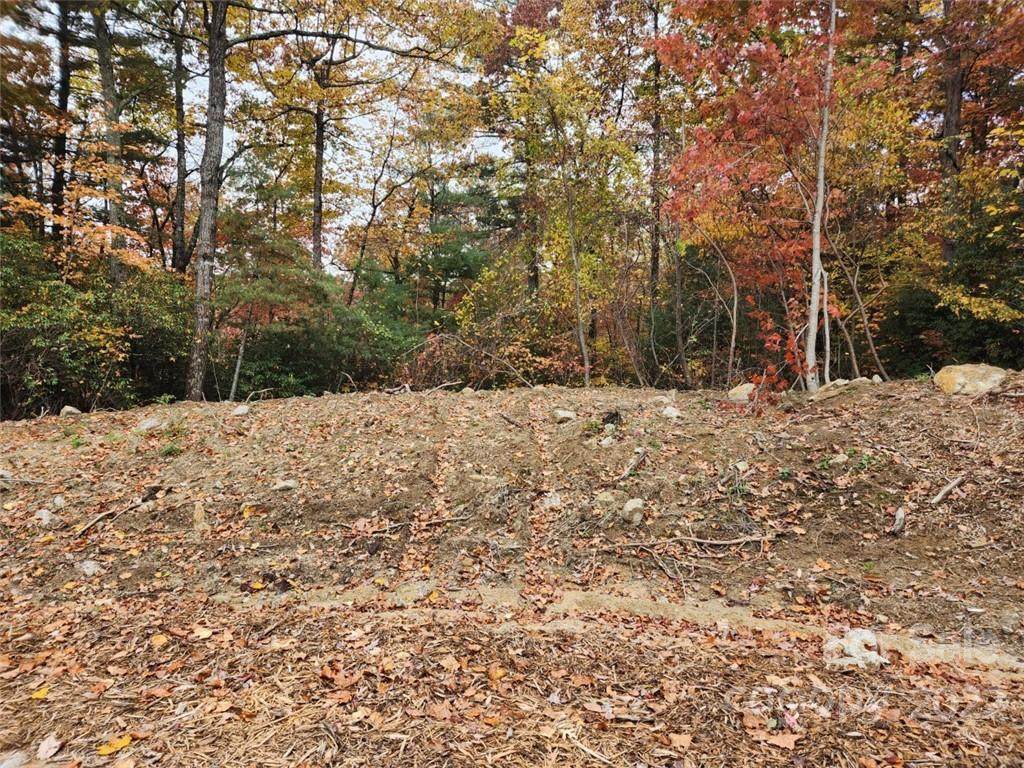 00 Willow Run Lane - Photo 1