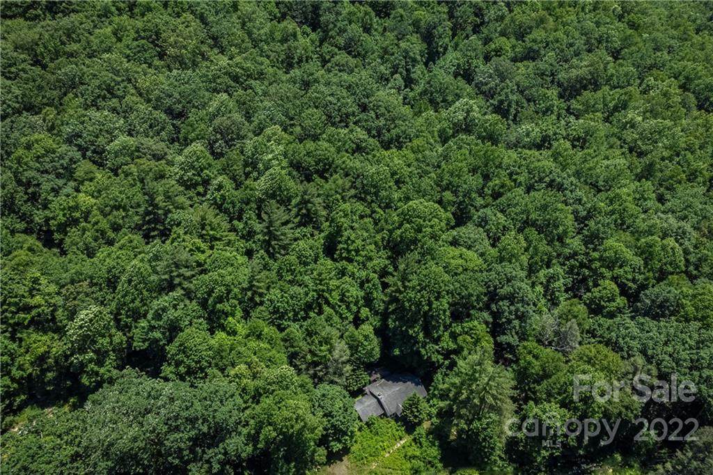 00000 Clear Creek Road - Photo 1