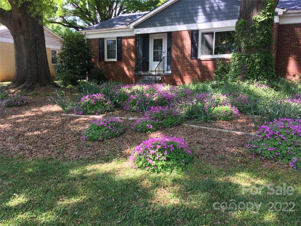 1723 Woodland Drive - Photo 1