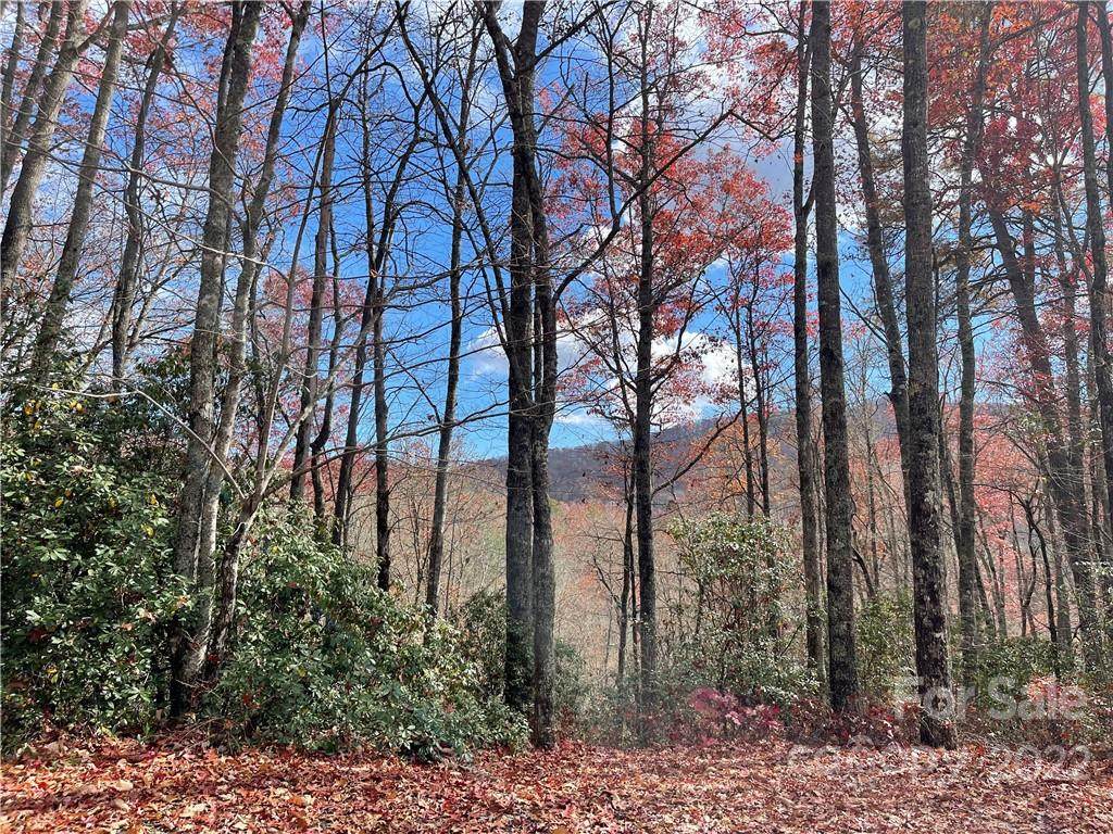 Lot 26 Ridge Trail Drive - Photo 1