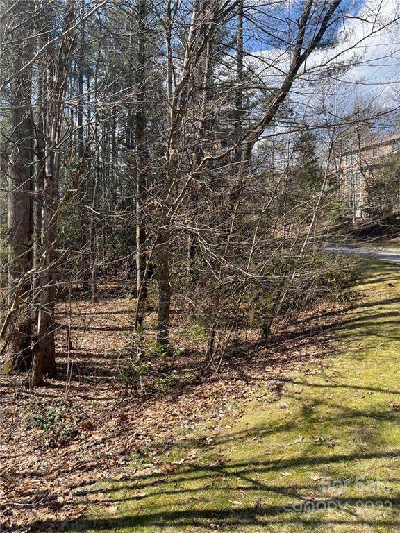 00 Blueberry Hill Road - Photo 1