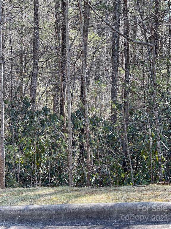 000 Blueberry Hill Road - Photo 1