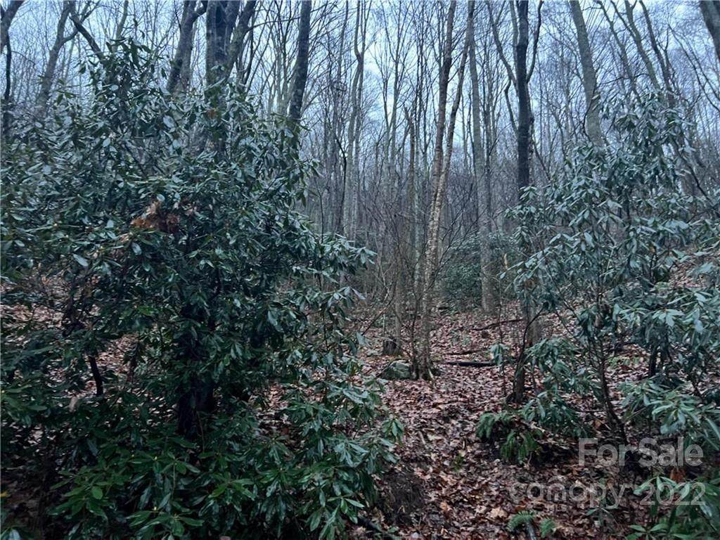 00 Wildflower Cove Road - Photo 1