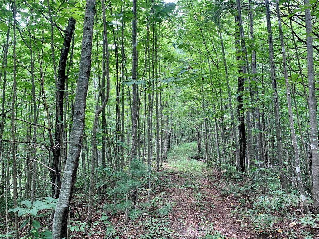 6431 Buffalo Cove Road - Photo 1