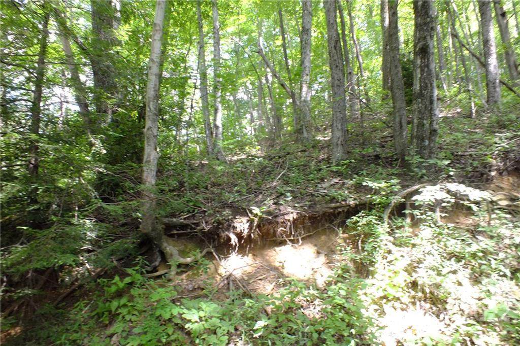 9 High Hopes Lane - Photo 1