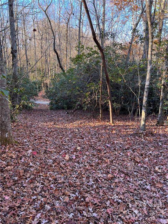 0000 Apple Blossom Road - Photo 1