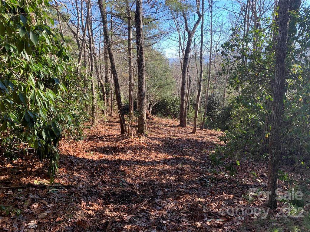 17A Hawkins Hollow Road - Photo 1