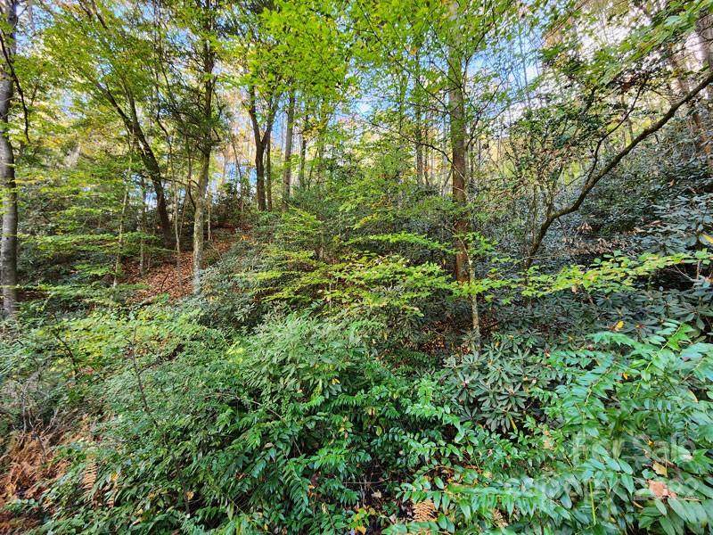 6429 Buffalo Cove Road - Photo 1