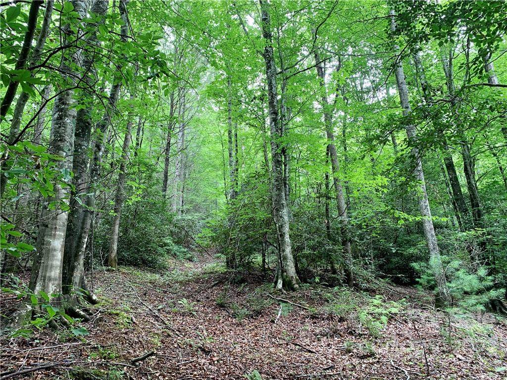 6422 Buffalo Cove Road - Photo 1