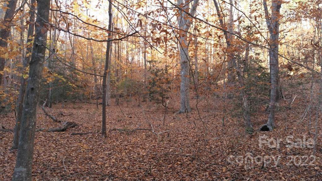 99999 Half Timber Drive - Photo 1