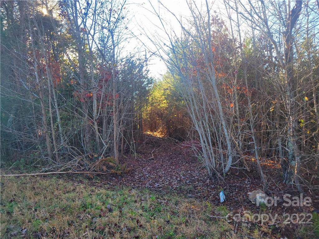 343 Woodrow Hoyle Road - Photo 1