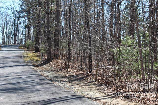 100 Brown Bear Ridge Trail - Photo 1