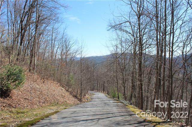 242 Black Bear Ridge Trail - Photo 1