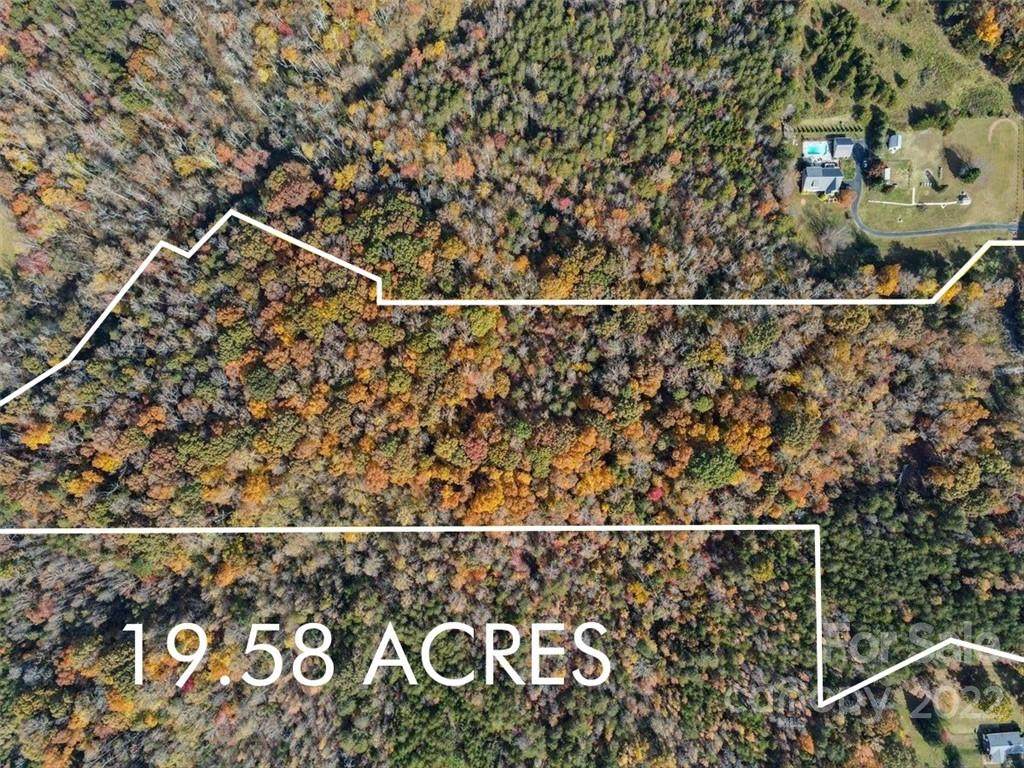 19.58 Acres Mauser Drive - Photo 1