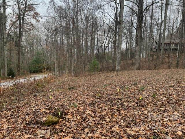 000000 Timberlane Road - Photo 1