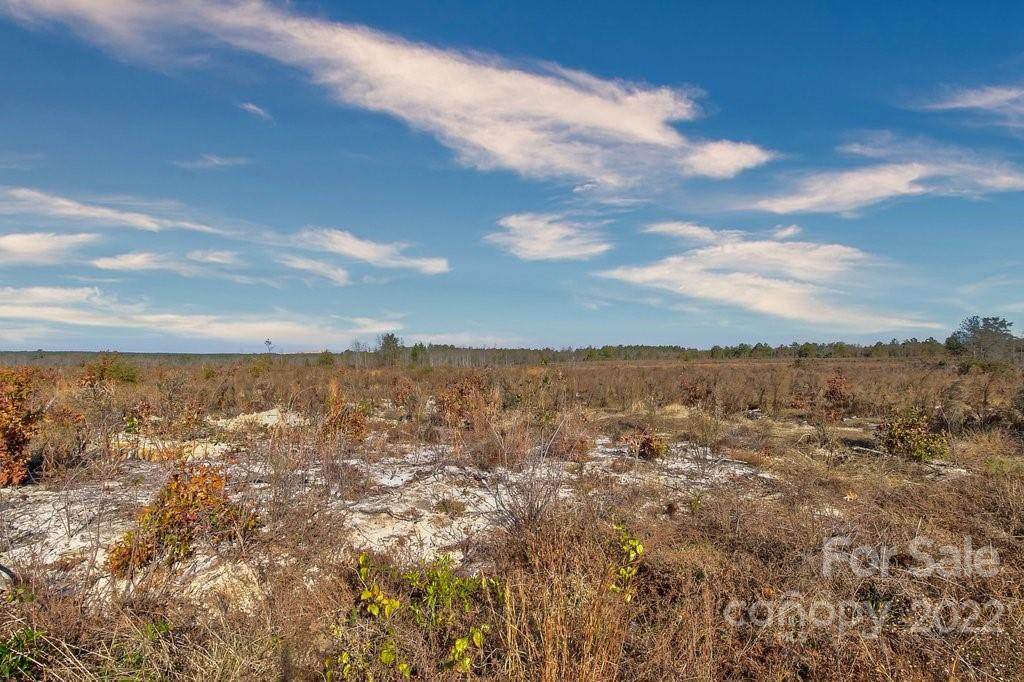 1168 Neds Creek Road - Photo 1