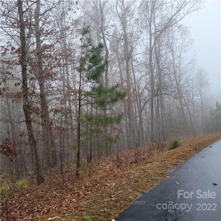 88 Adirondack Trail - Photo 1