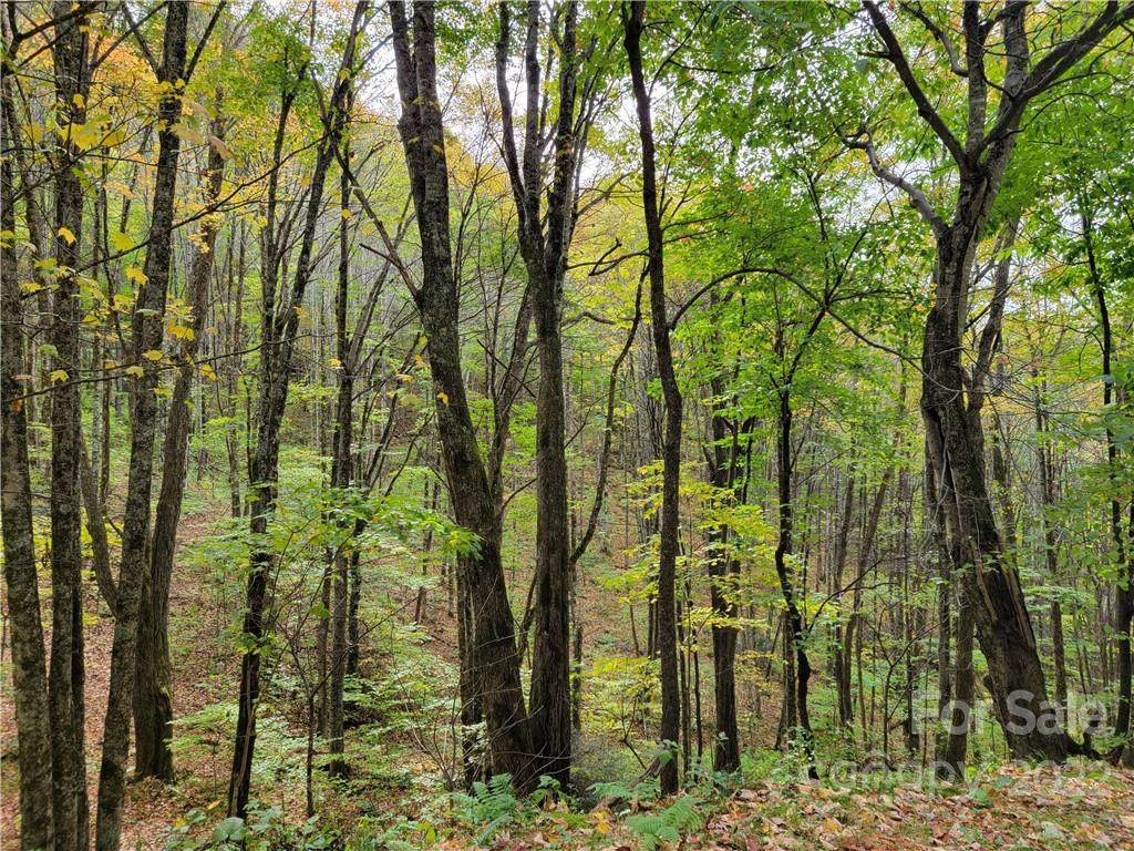 24 Tater Patch Road - Photo 1