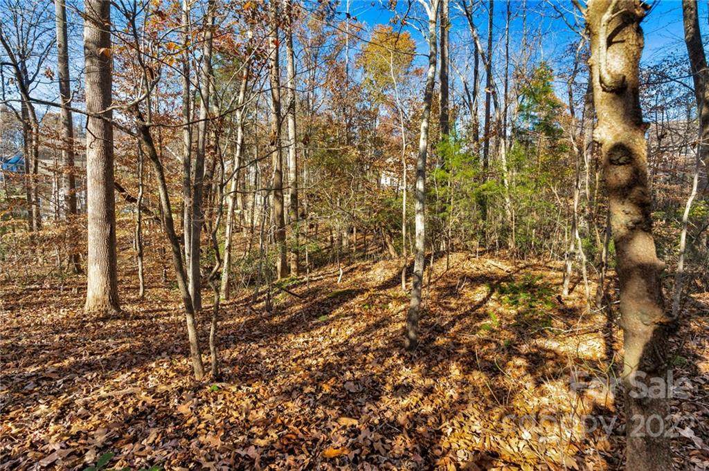 7309 River Valley Court - Photo 1