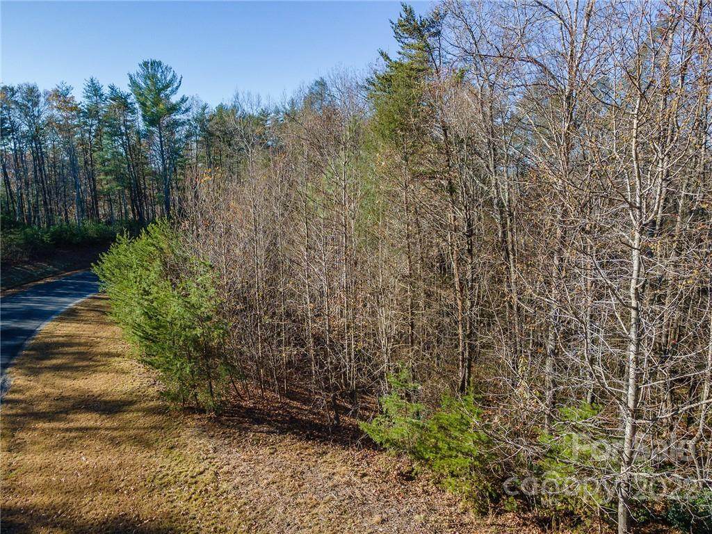 V/L 614 High Trail Drive - Photo 1
