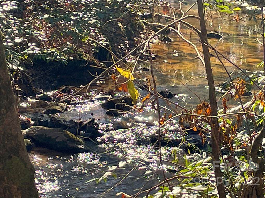 Lot 30 Cross Creek Trail - Photo 1