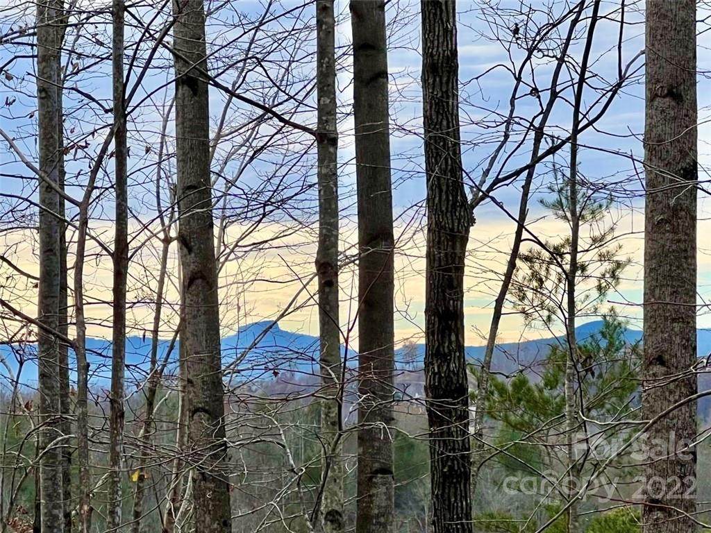 6.52 acres Lot 934 High Valley Way - Photo 1