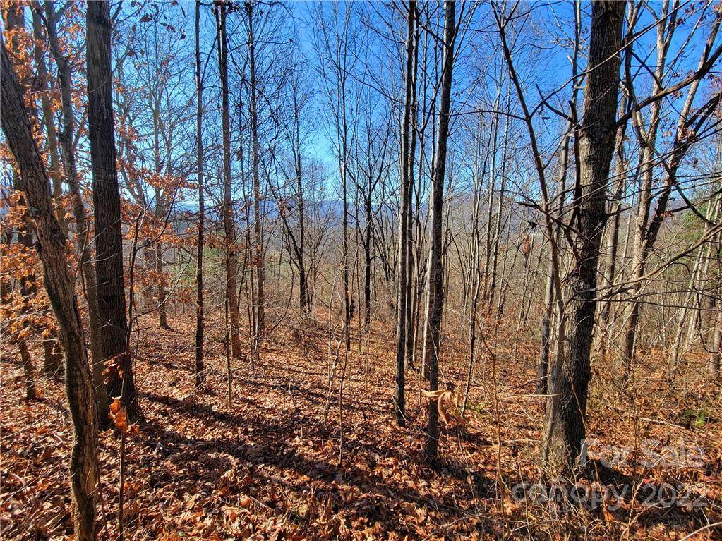 21 Satinwood Drive - Photo 1