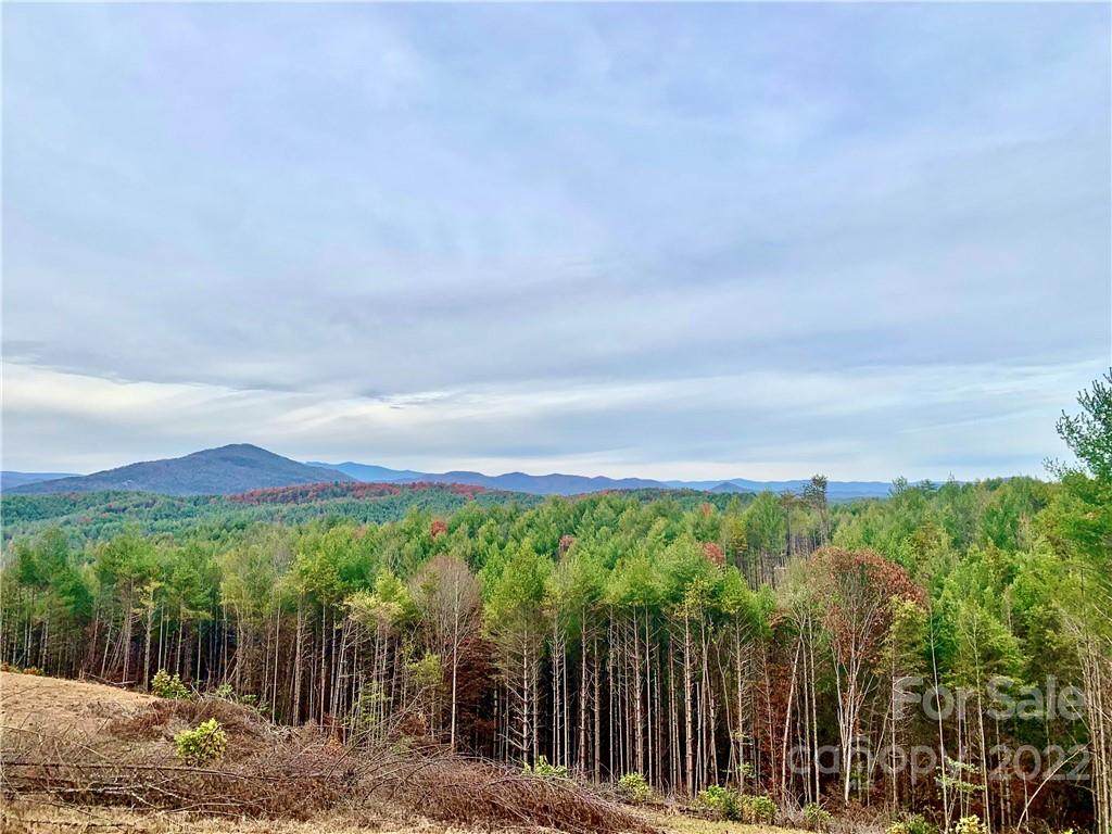 3.61 acres Painted Ridge Trail - Photo 1
