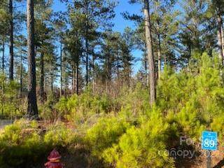 89 Scenic Lane - Photo 1
