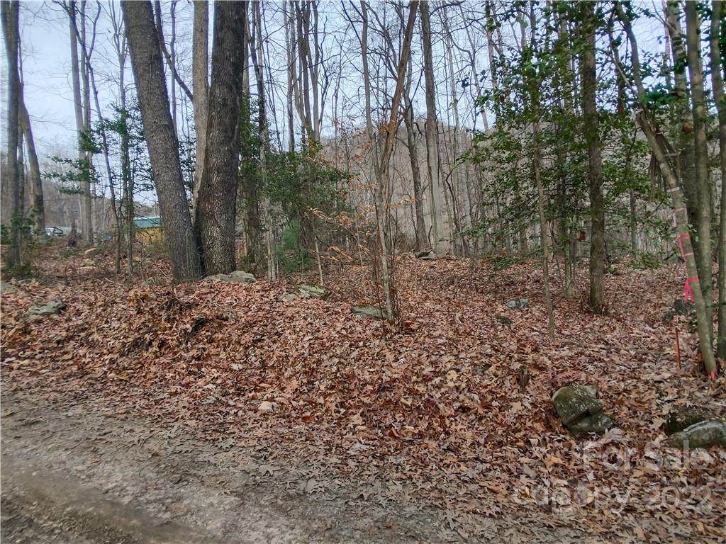 Lot 3 off Hannah Hill Road - Photo 1