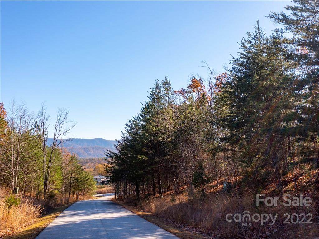 LOT 136 Deep Gap Farm Road - Photo 1