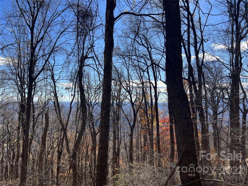 00 Hemlock Trail - Photo 1