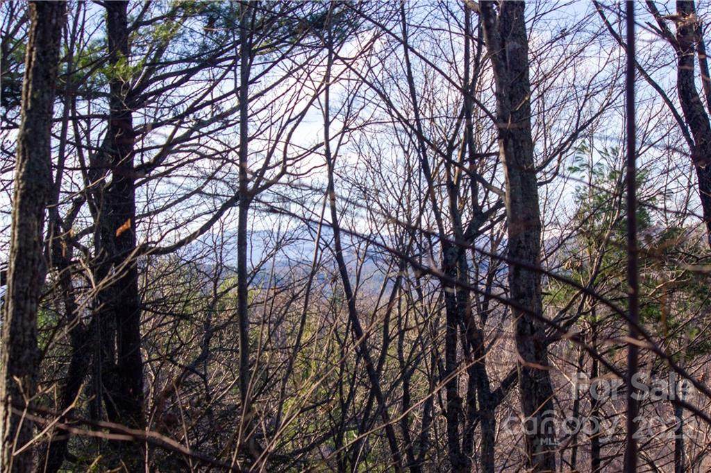 Lot# 573/574 Timber View Drive - Photo 1