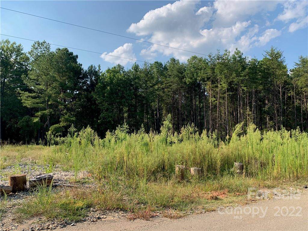 11737 Everett Keith Road - Photo 1