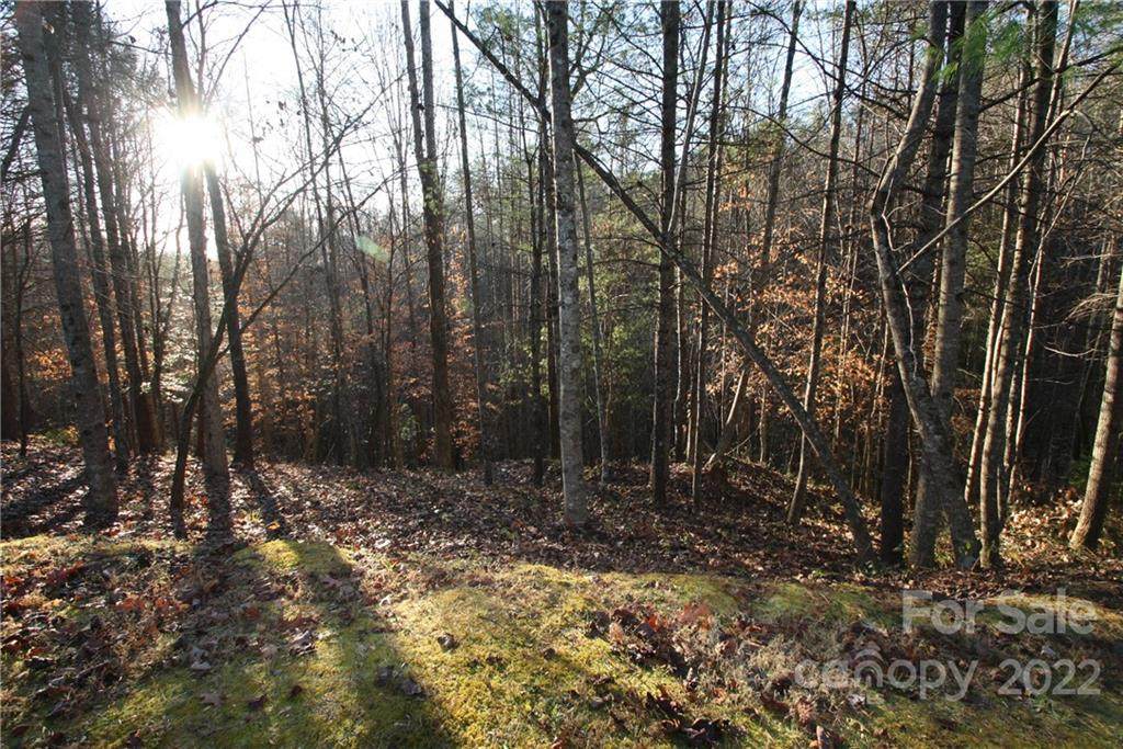 TBD Walnut Ridge Drive - Photo 1