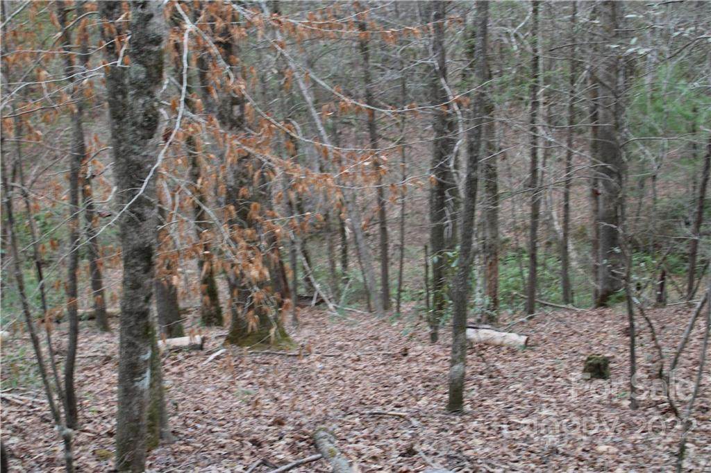 00 Wildcat Boulevard - Photo 1