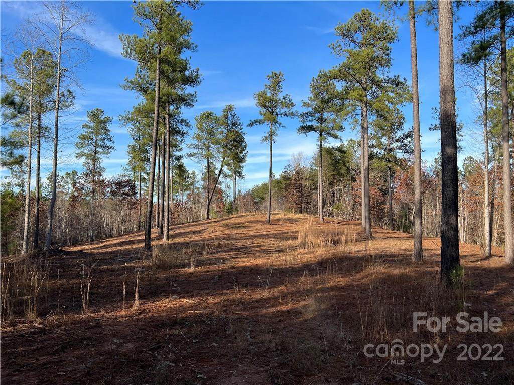 1015 Lyles Pond Road - Photo 1