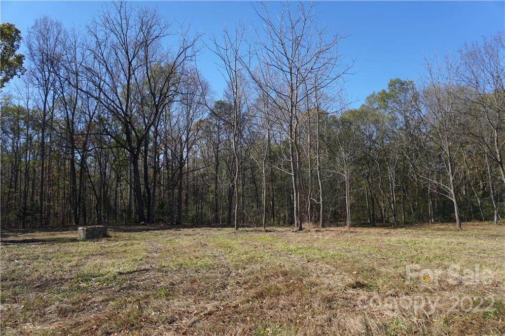 10.64 AC Burree Road - Photo 1