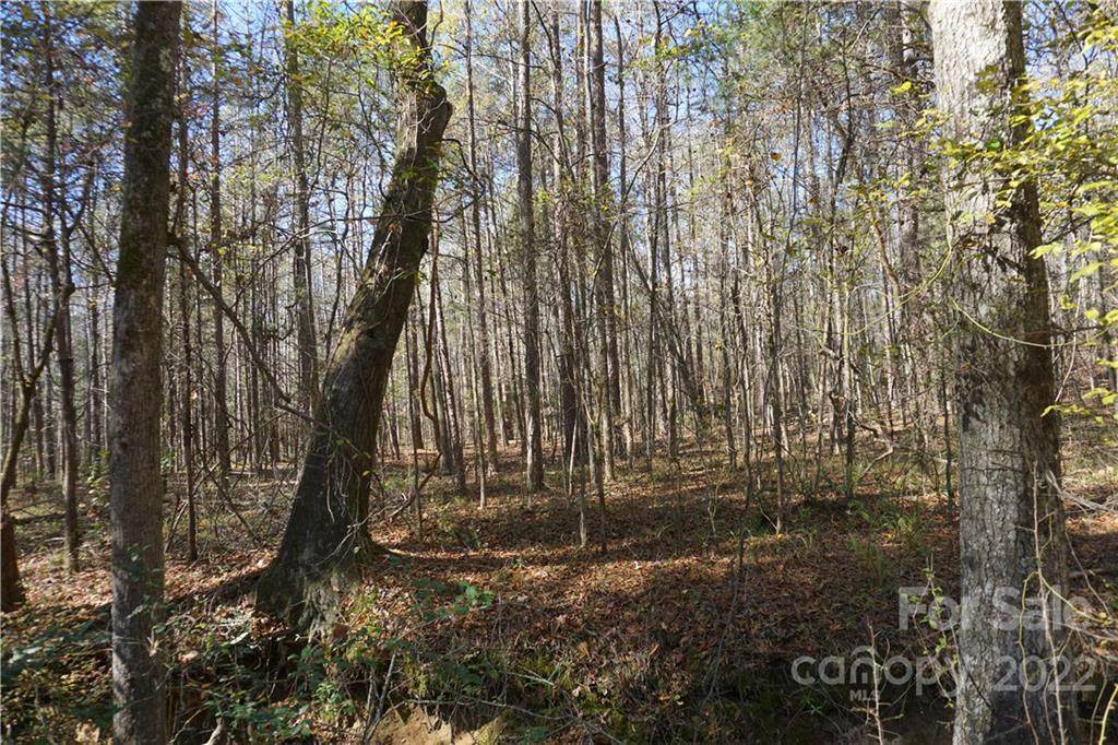 10.64 AC Burree Road - Photo 1
