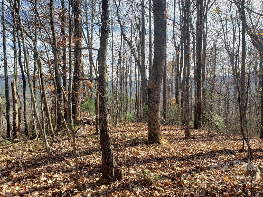V/L Pittman Road - Photo 1