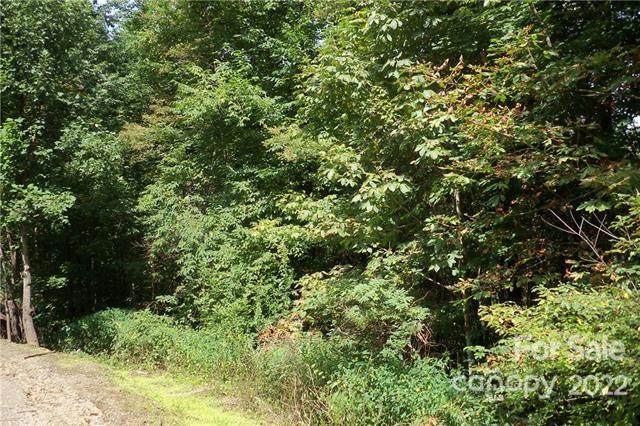 00000 Appaloosa Trail - Photo 1