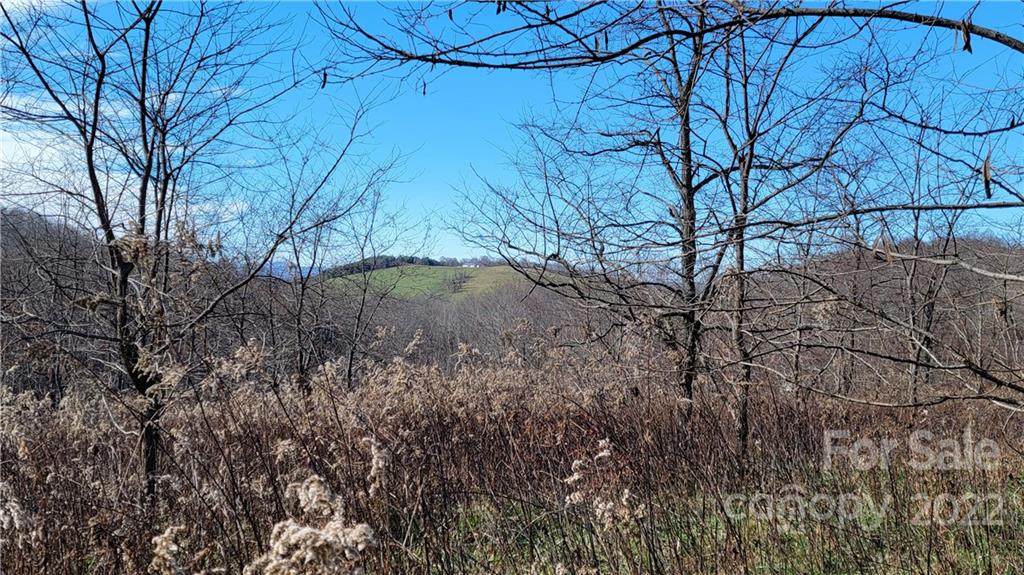 Lots 171/172/173 Ginkgo Drive - Photo 1