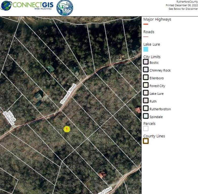 0 Pheasant Street - Photo 1