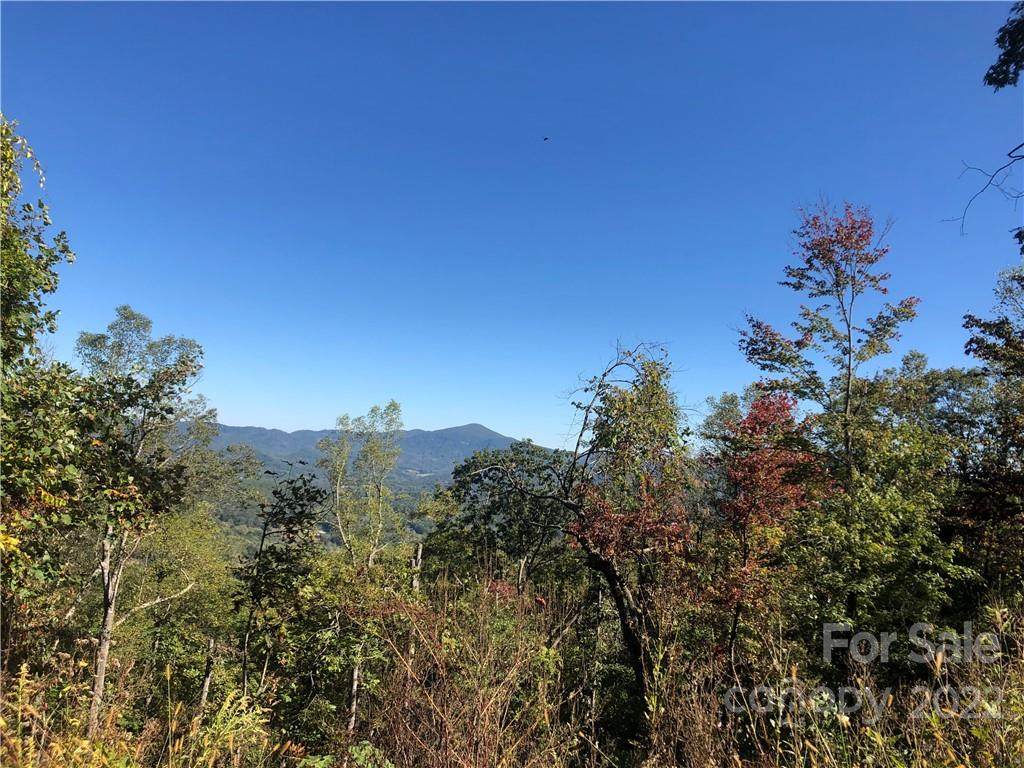 Lot 10 and 11 Pinkerton Corner - Photo 1
