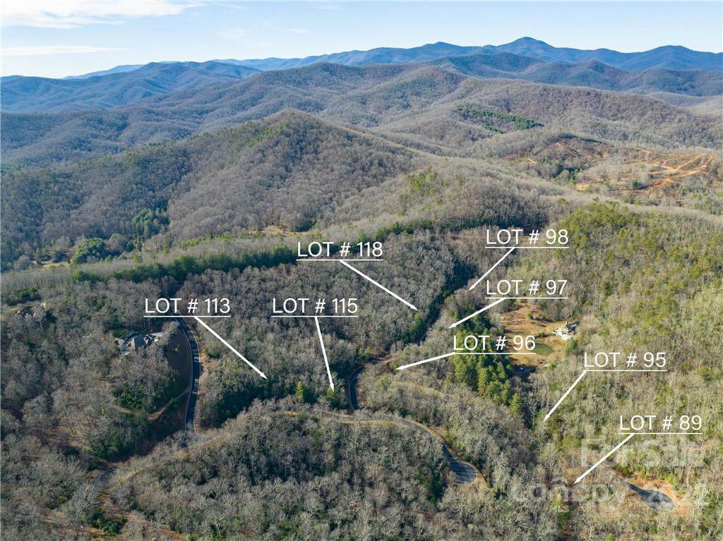 99999 Mills River Way - Photo 1