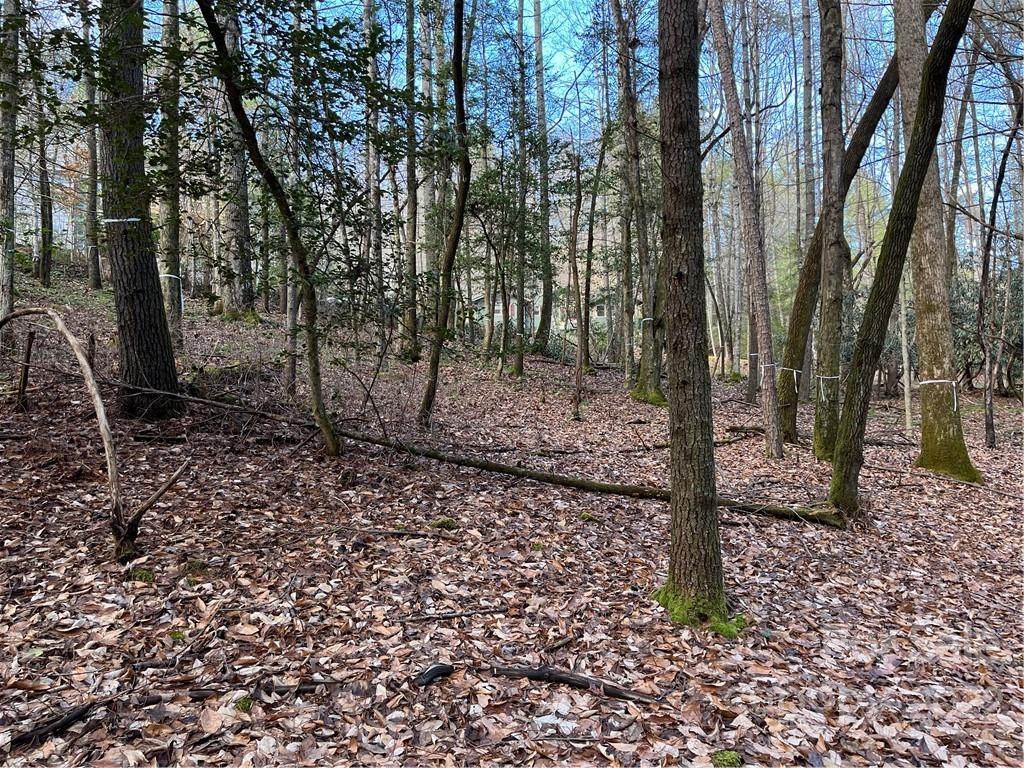 TBD Deerlake Road - Photo 1