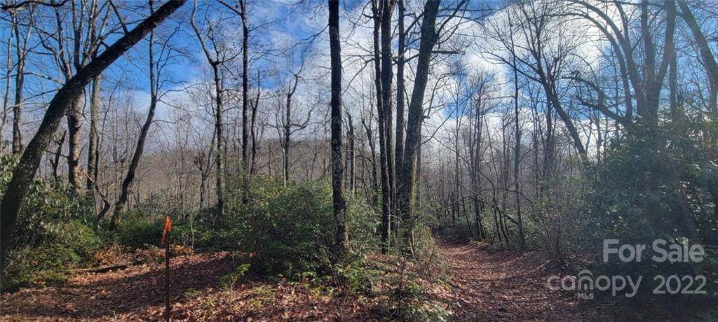Lot 18 Deer Run - Photo 1