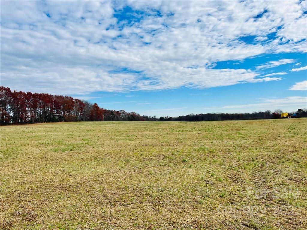 0 Eupeptic Springs Road - Photo 1