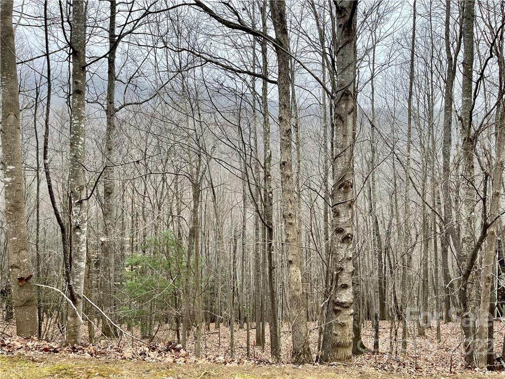 825 Stoney Stream Lane - Photo 1