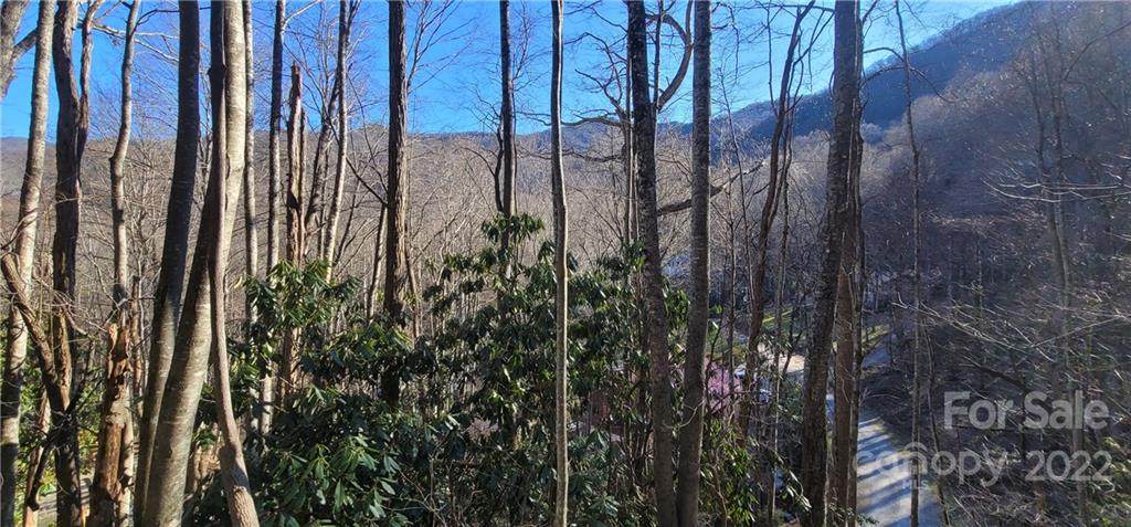 Lot 3 Friar Tuck Lane - Photo 1